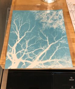 TEDCO 8" X 10" Sun Art Paper Kit - 12 Sheets 28 71LExTk1haL