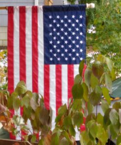 Annin Flagmakers Model 21850 American Flag All-Weather Nylon SolarGuard NYL-Glo, 2.5 x 4 Feet, Red,White 36 71LI 4h7JVL