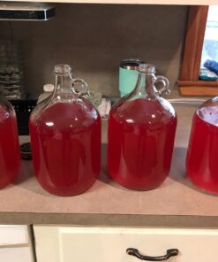 Glass Jug, 1 gal (Pack of 4) 21 71LJIyT2LyL