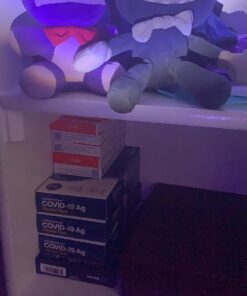 Funko Five Nights at Freddy's Bonnie Plush, 6", Blue 60 71LLx1JX6UL 1