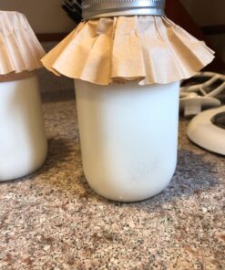 Fusion Teas 1 TBSP Organic Milk Kefir Grains and ebook “Milk Kefir Unleashed by Thomas Egbert” - Fresh Live Active Probiotic Starter Cultures 36 71LNK9qu4lL