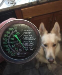 CDN ProAccurate Oven Thermometer, Pack of 1, Black Large Dial-GLOW Meat/Poultry 35 71LOkrZt0eL