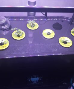 AeroGarden Sweet Bell Peppers Seed Pod Kit (9-pod) Tall Gardens Only Sweet Bell Pepper 48 71LOwuqkHvL