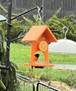 Songbird Essentials SERUBFJF Fruit and Jelly Oriole Feeder (Set of 1) 57 71LRIfWP4AL
