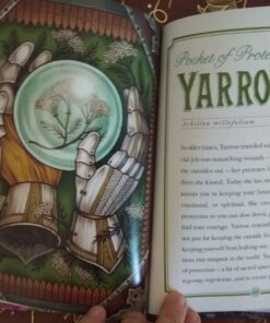 The Illustrated Herbiary: Guidance and Rituals from 36 Bewitching Botanicals (Wild Wisdom) 40 71LSgcm71vL