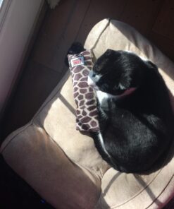 KONG - Kickeroo Giraffe Pattern - Play Enticing Cat Toy, North American Premium Catnip 22 71LTuShX1nL