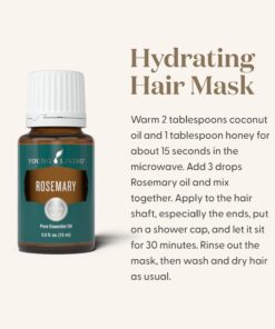 Rosemary Essential Oil 15ml by Young Living Essential Oils Rosemary 0.51 Fl Oz (Pack of 1) 14 71LVp5HLYZL