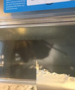 Ketch-All Mousetrap w/ Clear Lid 27 71LYHYrW oL