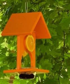 Songbird Essentials SERUBFJF Fruit and Jelly Oriole Feeder (Set of 1) 54 71LZFFWvXML
