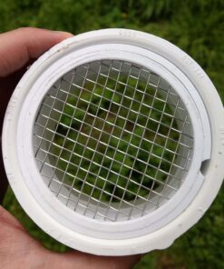 Raven R1509 3 inch PVC Termination Vent with Stainless Steel Screen and Drain Slot, White 49 71Ld4jhxkL