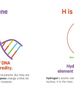 ABCs of Science: The Essential ABC Board Book of First STEM Words from the #1 Science Author for Kids (Science Gifts for Kids) (Baby University) 21 71LeVaA2rwL