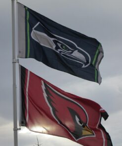 WinCraft Dallas Large 3x5 Flag 27 71Lh7drfdmL