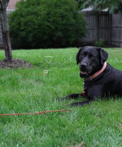 BV Pet Tie Out Cable for Dogs Up to 125 Pounds, 30 Feet (Red/ 125lbs/ 30ft) 125lbs/ 30ft/ Red 28 71Lnukh6g2L