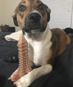 Nylabone Power Chew Dog Toy - Dog Toys for Aggressive Chewers - Indestructible Dog Toys for Aggressive Chewers Large Breed - For Extra Large Dogs - Bacon Flavor X-Large/Souper (1 Count) X-Large/Souper - 50+ lbs. 52 71LoyElWe L