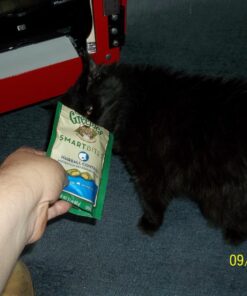 Feline Greenies Dental Treats For Cats Oven Roasted Chicken Flavor 12 Oz. With Natural Ingredients Plus Vitamins, Minerals, And Other Nutrients 26 71Lpohe8VyL