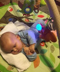 SmartNoggin NogginStik Developmental Light-Up Rattle for Infants up to 12 months 37 71Lrke4XNFL