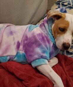 Embark Breed & Health Kit - Dog DNA Test - Discover Breed, Ancestry, Relative Finder, Genetic Health, Traits, COI 1 Count (Pack of 1) 55 71LsKv0JvhL 3