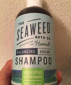 Seaweed Bath Co. Balance Shampoo, Eucalyptus Peppermint Scent, 12 Ounce, Sustainably Harvested Seaweed, Pro Vitamin B5, For Normal to Oily Hair 15 71Lu48MvM9L