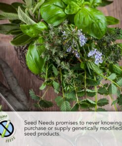 Seed Needs, Bee Balm Seed Packet Collection (3 Individual Varieties of Seed for Planting) Non-GMO & Untreated 19 71Lx9cpe97L 1