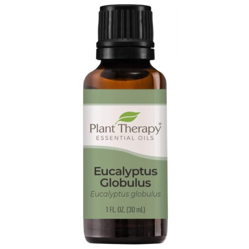 Plant Therapy Eucalyptus Globulus Essential Oil 30 mL (1 oz) 100% Pure, Undiluted, Therapeutic Grade 1 Fl Oz (Pack of 1)