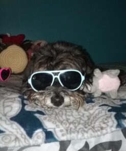 Milk-Bone Brushing Chews Daily Dental Dog Treats, Mini, 56 Count 56 Count (Pack of 1) Daily Dental Treats 16 71LyrQHv9iL