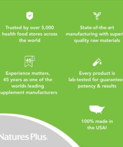 NaturesPlus Chewable Iron - 27 mg, 90 Chewable Tablets - High Potency Supplement with Vitamin C & Herbs, Promotes Healthy Blood, Natural Energy - Vegetarian, Gluten-Free - 90 Servings 90 Count (Pack of 1) 17 71M Wdd7e5L