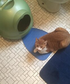 Van Ness Pets Trackless Cat Litter Mat Traps Litter from Box, Waterproof, White 14 71M1CXXNUL