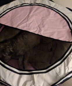 PET4FUN PN935 29" Portable Pet Puppy Dog Cat Animal Playpen Yard Crates Kennel w/Premium 600D Oxford Cloth, Tool-Free Setup, Carry Bag, Removable Security Mesh Cover/Shade, 2 Storage Pockets(Pink) Upgrade Version: 29" x 29" x 17" Medium Pink 45 71M1nh2He3L