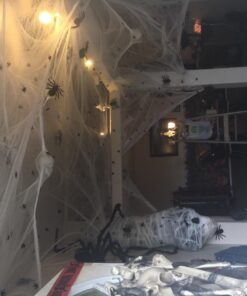 Fun World Costumes Spider Web Decoration Standard 28 71M2o5YbRvL