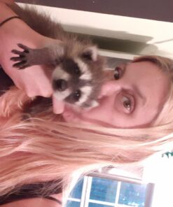 PetAg KMR Kitten Milk Replacer Powder - Prebiotics and Probiotics for Newborn to 6 Week - 12 oz Powdered Drink Mix 12 Ounce (Pack of 1) 30 71M6GK5cb0L