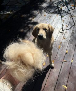 Pet Grooming Brush and Metal Comb Combo, Cat Brush Dog Brush for Shedding, Undercoat Rake for Dogs Grooming Supplies, Dematting Deshedding Brush Dogs Shedding Tool for Long matted Haired Pets, Blue 30 71M6lyHA dL