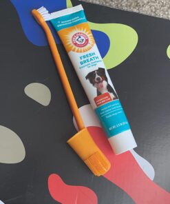 Arm & Hammer for Pets Fresh Breath Kit for Dogs | Contains Toothpaste, Toothbrush & Fingerbrush | Reduces Plaque & Tartar Buildup | Safe for Puppies, 3-Piece Kit, Chicken Flavor Dogs - Chicken Flavor 2.5 Oz (Pack of 1) 37 71MCQG3QUL