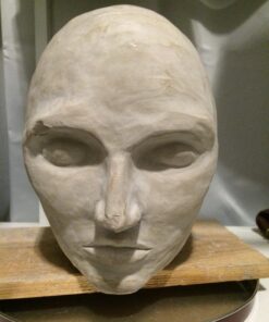 Laguna Clay's WED Clay (EM-217) - 50lbs 50 lb 7 71MCV0fKVcL