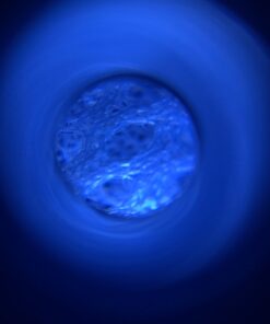 JARLINK 2 Pack 30X 60X Illuminated Jewelers Eye Loupe Magnifier, Foldable Jewelry Magnifiers with Bright LED Light for Gems, Jewelry, Coins, Stamps, etc (Black) Black 25 71MCsbSoC6L