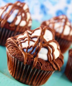 Cacao Barry Cocoa Powder 100% Cocoa Extra Brute, 2.2 lb Chocolate 2.2 Pound (Pack of 1) 23 71MFcqSwV1L