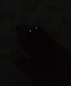 Truglo TFO Tritium & Fiber-Optic Handgun Sight Durable Snag-Resistant Glowing Front & Rear Night Sight, Compatible with Smith & Wesson M&P Series Green Rear Sight 33 71MGhhiHxiL