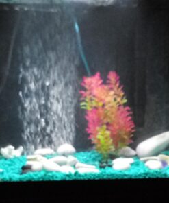 Pure Water Pebbles Aquarium Gravel, 5-Pound, Turquoise 13 71MJXagqw9L