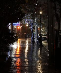 Altura Photo Professional Camera Rain Cover for Canon Nikon Sony DSLR & Mirrorless Cameras - Altura Photo Camera Accessories for Photography Rain Gear 36 71MM6Pa3h5L 1