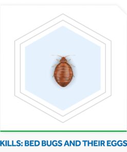 Raid Max Bed Bug Extended Protection, Kills Bed Bugs for 8 Weeks on Laminated Woods and Surfaces, 22 Oz 8 71MNJ2TVEPL