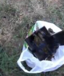 Dogit Jawz Waste Scooper - Dog Pooper Scooper for Easy Grass and Gravel Pick Up 45 71MNKsmLk9L