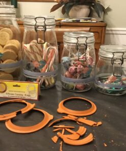 HIC Silicone Replacement Gasket Seals, Fits Regular Mouth Canning Jars, 3.75 x 3.75-Inches, Set of 4 20 71MNMj8iVtL