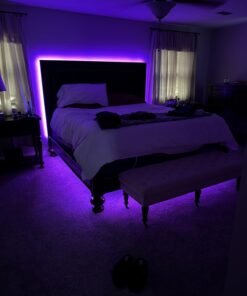 REEMEER Led Lights 100ft(2 Rolls of 50ft) Smart APP Control Music Sync Led Strip Lights RGB Color Changing Led Lights Strips with Remote Led Lights for Bedroom Kitchen and Party 100 ft 24 71MOUEmiizL