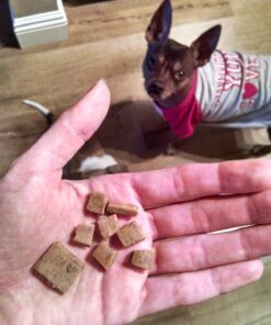 Wellness Soft Puppy Bites Natural Grain-Free Treats for Training, Dog Treats with Real Meat and DHA, No Artificial Flavors (Lamb & Salmon, 3-Ounce Bag) Soft Treats Lamb & Salmon 3 oz 40 71MPzeEmZwL