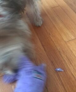 KONG - Cozie™ Rosie Rhino - Indoor Cuddle Squeaky Plush Dog Toy - For Medium Dogs 28 71MUIMgNppL