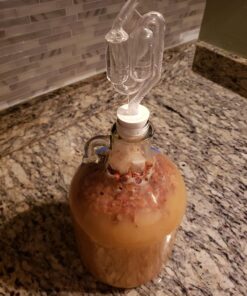 FastRack 1 gal Glass Wine Fermenter, INCLUDES Rubber Stopper and Twin Bubble Airlock, Multicolor 1 Count (Pack of 1) 27 71MX7f4rL4L