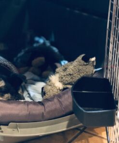 Petmate Sky Kennel Pet Carrier, 32 Inch, Gray, Made in USA 29.5"L x 19.8"W x 23.5"H 41 71MYU55NuL