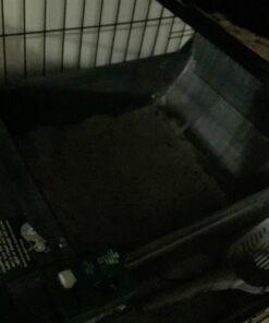 Pet Zone Semi Automatic Cat Litter Box Self Cleaning - Smart Scoop Cat Litter Box with Bags & Carbon Filter for Up to Two Cats 6-16 Pounds Smart Scoop Litter Box 45 71MYcBzyJFL