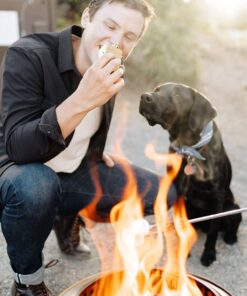 Solo Stove Ranger with Stand Portable Outdoor Fire Pit Stainless Steel Firepot for Wood Burning and Low Smoke Great Fire Pits for Outside | 15x12.5 Inch Outside Fire Pit w/o Removable Ash Pan & Base Plate 22 71MZNzz582L