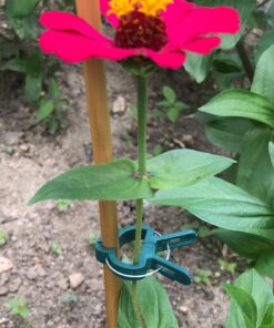 Sago Brothers 40 PCS Plant Clips Garden Clips for Tomato Cage, Tomatoes Clips Plant Support Clips for Bamboo Stakes, Climbing Plants, Vines, Gentle Plant & Flower Trellis Clips for Plant Stalks, Stems SL-40p-(20S+20L) 33 71MbfPJUbHS