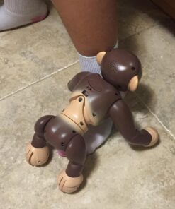 Zoomer - Chimp Standard Packaging 34 71MbpfEctyL